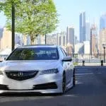 pexels albert nunez 88628