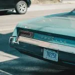 pexels lisa simpson 12942769