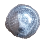 4pcs Set 81mm Snap On Chrome ABS Plastic Wheel Hub Cap – C809401CAP - Image 5