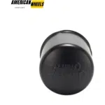 RhinoTuning 4.25in Stainless Curved Push-Thru Trailer Center Hub Cap for 4.25in Bore - 20274357 - Image 4
