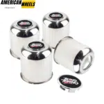 Stainless 4.25 Push Through Center Caps Removable Top Cap Trailer Center Caps - 20274341=[74311+20970] - Image 4