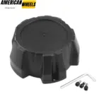 4pcs 138mm(5.43in) Hub Caps for ION Alloy Wheels C612103CAP - 20280016 - Image 3