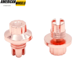 100pcs Wheel Rim Lip Rivets Nuts Car Accessories - Image 15