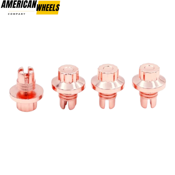 100pcs Wheel Rim Lip Rivets Nuts Car Accessories - Image 19